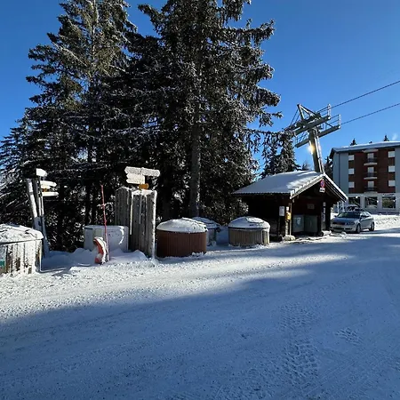 Slopeside - 4 Valleys - Swiss Alps *