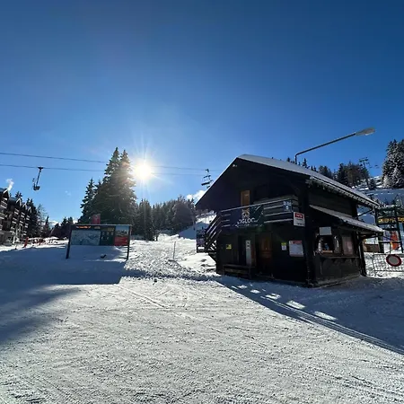 Apartment Slopeside - 4 Valleys - Swiss Alps Vex