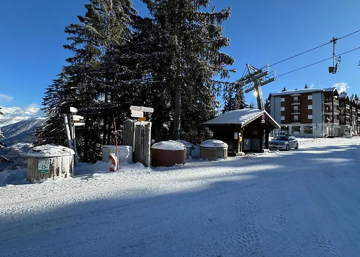 Slopeside - 4 Valleys - Swiss Alps *